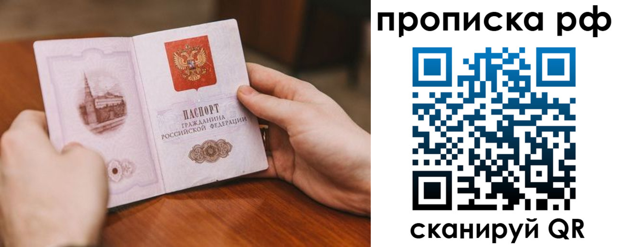 прописка поиск в Мытищах