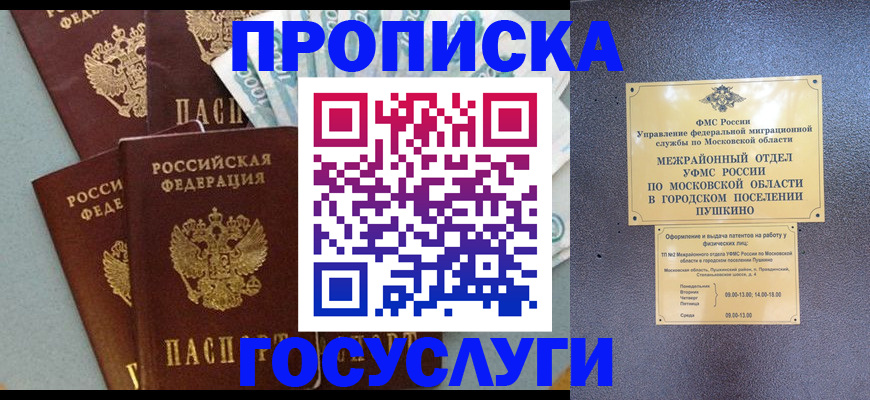 прописка гарантия в Мытищах